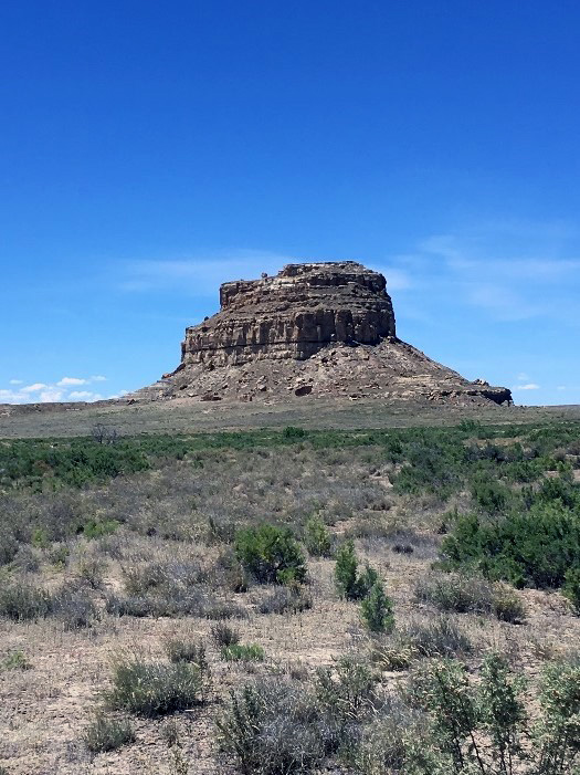 Aquila | Navajo Star Gazer